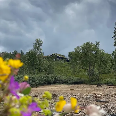 Mosstrond Turisthytte * Hovden (Telemark)