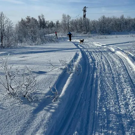 Mosstrond Turisthytte * Hovden (Telemark)