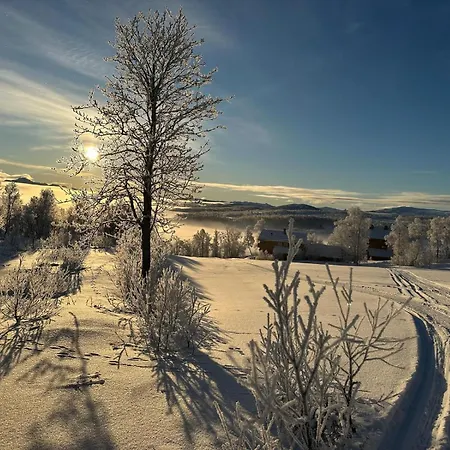 Aparthotel Mosstrond Turisthytte Hovden (Telemark)