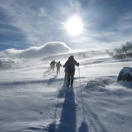 Appart hôtel Mosstrond Turisthytte