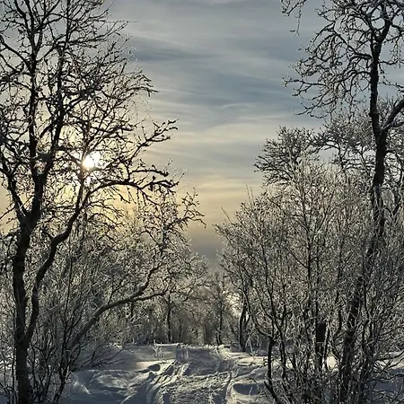Lejlighedshotel Mosstrond Turisthytte Hovden (Telemark)