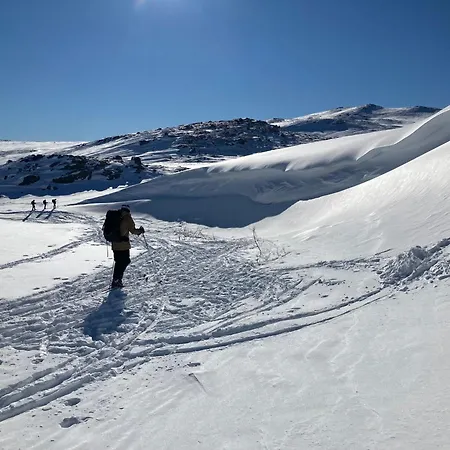Mosstrond Turisthytte * Hovden (Telemark)