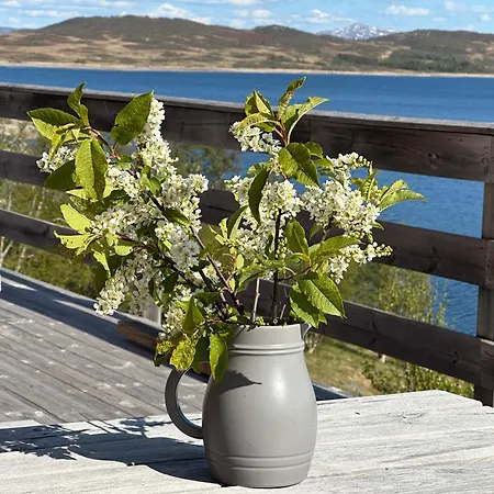 Mosstrond Turisthytte