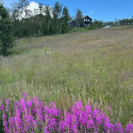 Mosstrond Turisthytte * Hovden (Telemark)