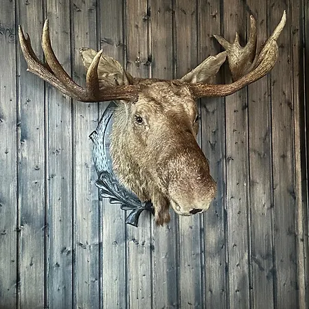 Mosstrond Turisthytte