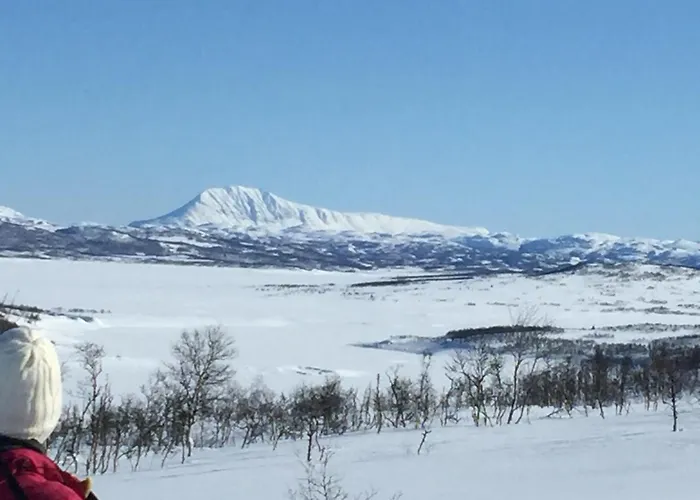 Mosstrond Turisthytte Aparthotel