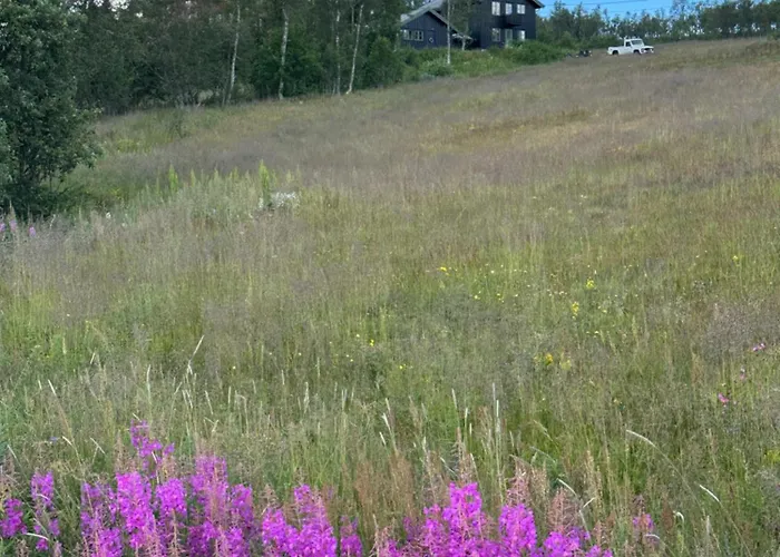 Mosstrond Turisthytte * Hovden (Telemark)