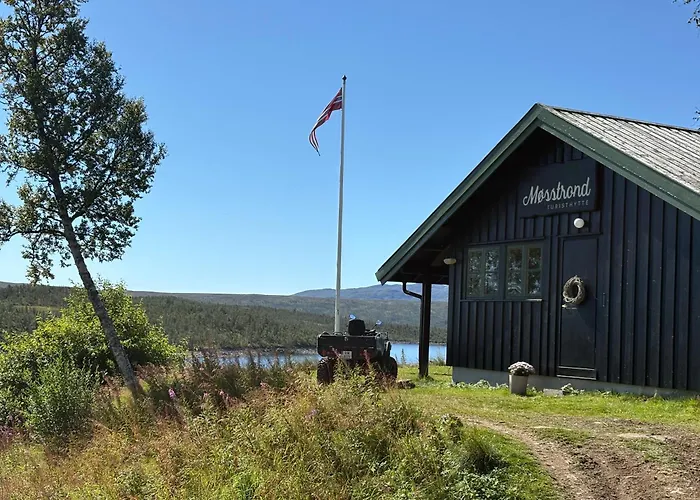 מלון דירות Mosstrond Turisthytte Hovden (Telemark)