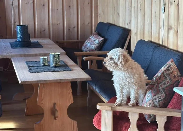 Mosstrond Turisthytte Hovden (Telemark)